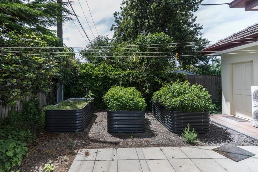 3 Bdrm 2 Bthrm House Close To Canberra Cbd & Anu المظهر الخارجي الصورة